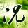 岚图泰山X8预售53分钟订单破1万5
